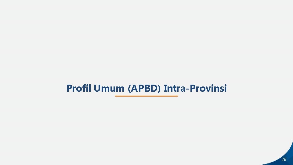 Profil Umum (APBD) Intra-Provinsi 28 