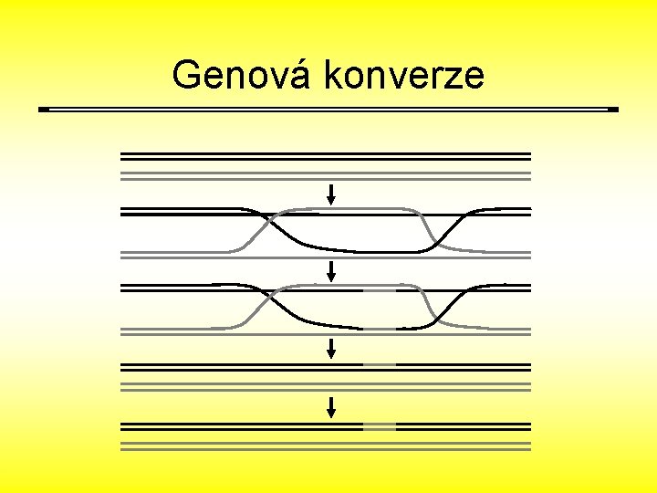 Genová konverze 