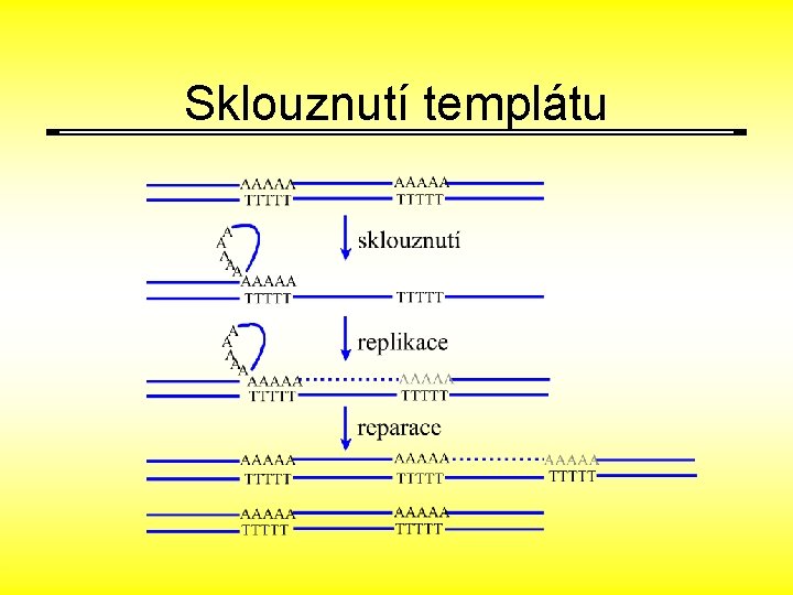 Sklouznutí templátu 
