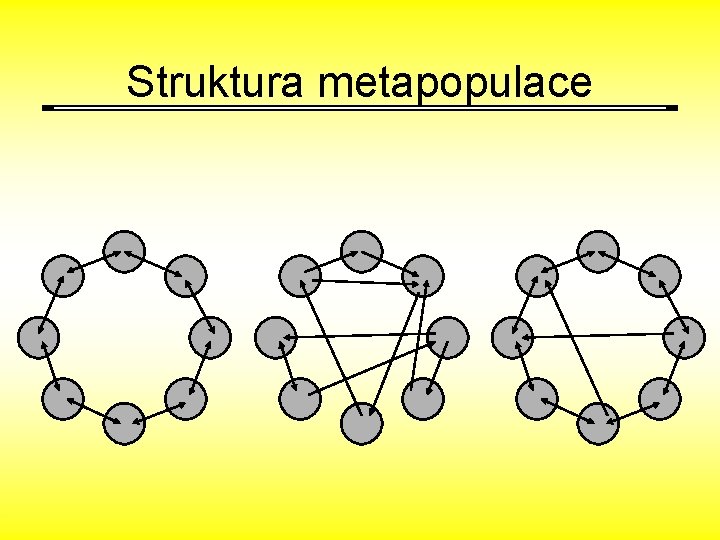 Struktura metapopulace 