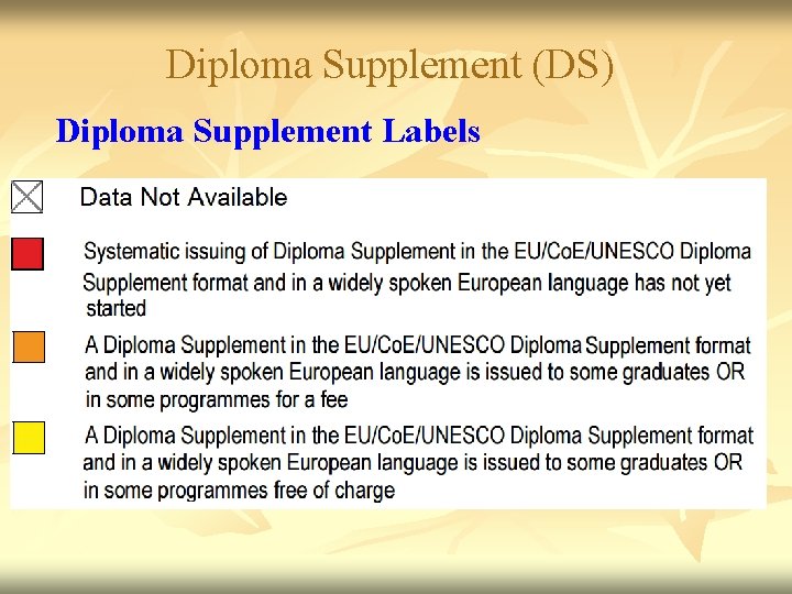 Diploma Supplement (DS) Diploma Supplement Labels 