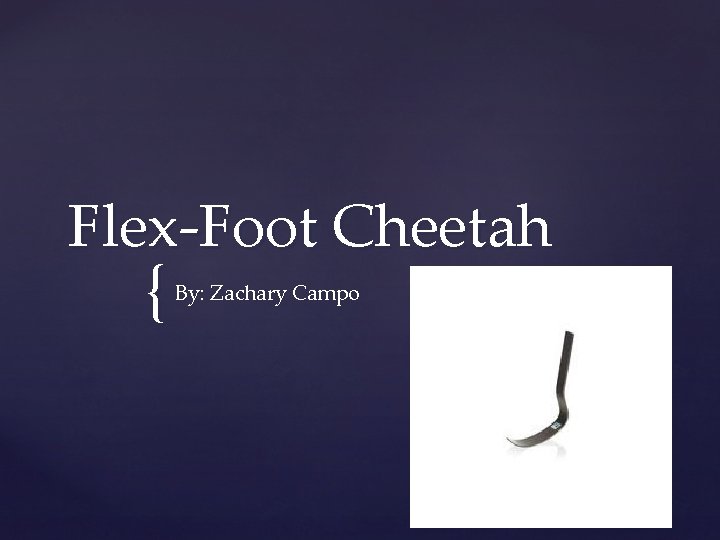 Flex-Foot Cheetah { By: Zachary Campo 