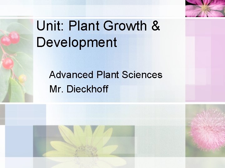 Unit: Plant Growth & Development Advanced Plant Sciences Mr. Dieckhoff 