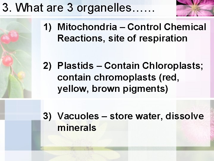 3. What are 3 organelles…… 1) Mitochondria – Control Chemical Reactions, site of respiration