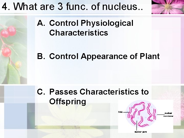 4. What are 3 func. of nucleus. . A. Control Physiological Characteristics B. Control