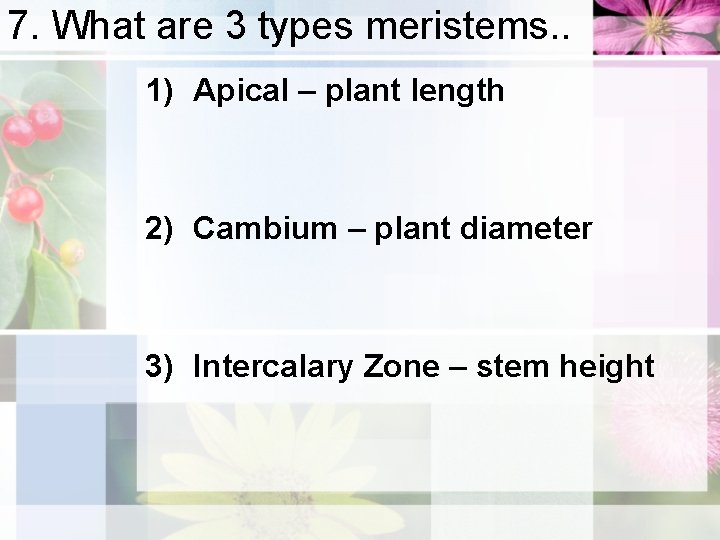 7. What are 3 types meristems. . 1) Apical – plant length 2) Cambium