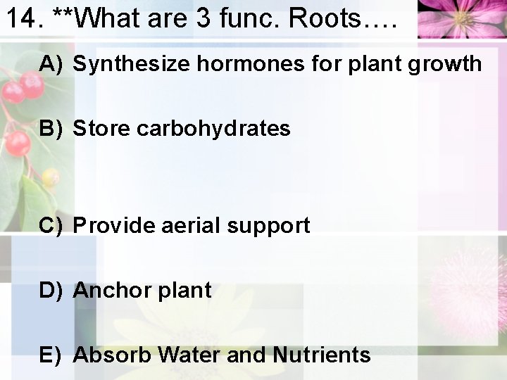 14. **What are 3 func. Roots…. A) Synthesize hormones for plant growth B) Store