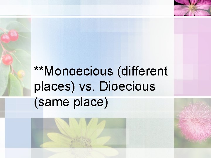 **Monoecious (different places) vs. Dioecious (same place) 