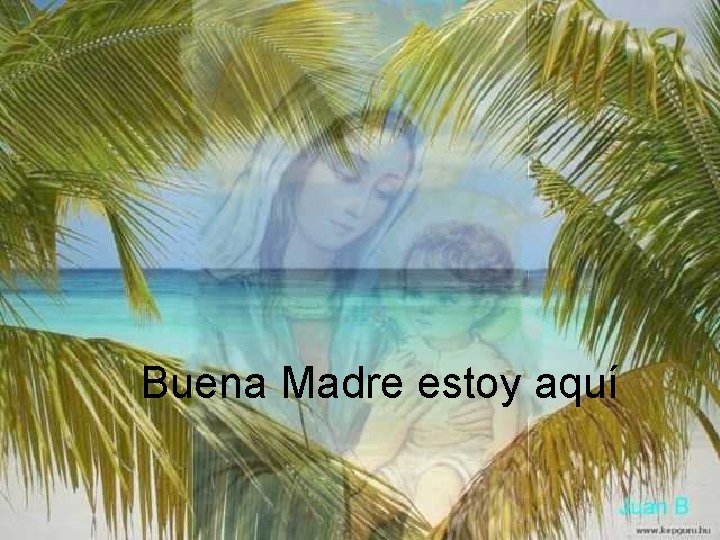 Buena Madre estoy aquí 