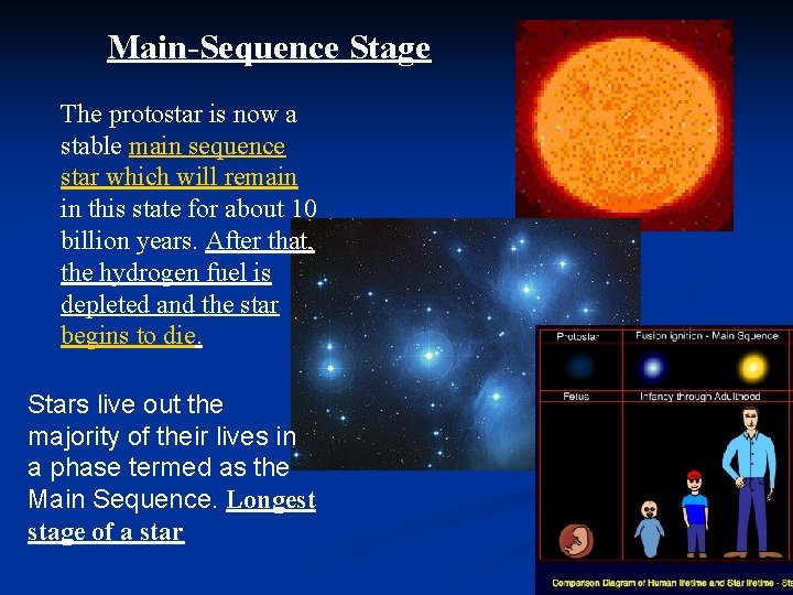 Main-Sequence Stage The protostar is now a stable main sequence star which will remain