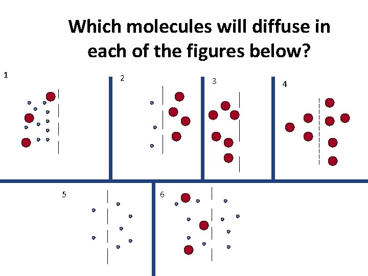 Which molecules will diffuse in each of the figures below? 1 2 5 3