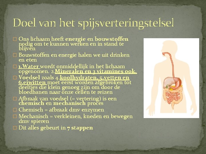 Doel van het spijsverteringstelsel � Ons lichaam heeft energie en bouwstoffen nodig om te