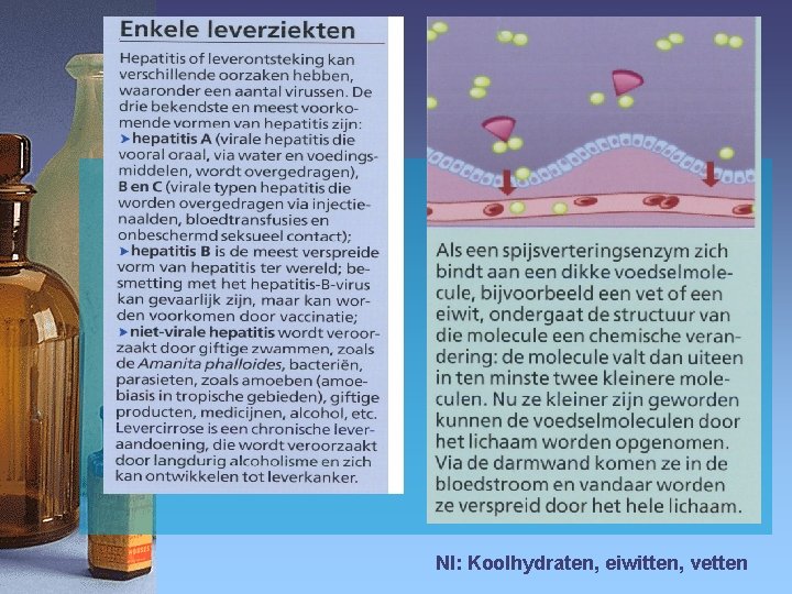 Nl: Koolhydraten, eiwitten, vetten 
