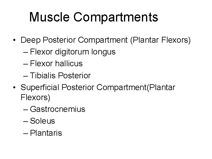 Muscle Compartments • Deep Posterior Compartment (Plantar Flexors) – Flexor digitorum longus – Flexor