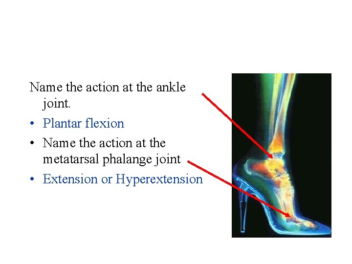 Name the action at the ankle joint. • Plantar flexion • Name the action