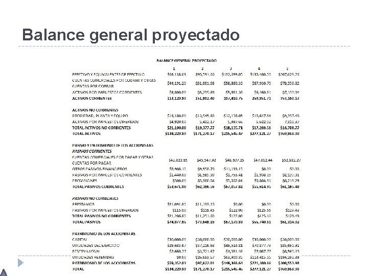 Balance general proyectado 