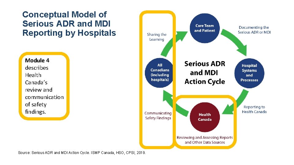 Conceptual Model of Serious ADR and MDI Reporting by Hospitals Module 4 describes Health
