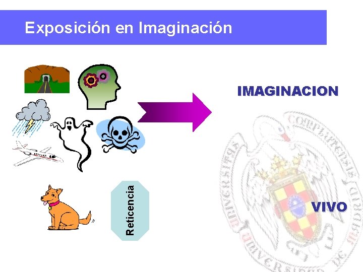 Exposición en Imaginación Reticencia IMAGINACION VIVO 