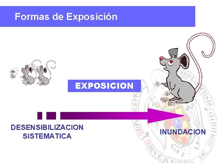 Formas de Exposición EXPOSICION DESENSIBILIZACION SISTEMATICA INUNDACION 