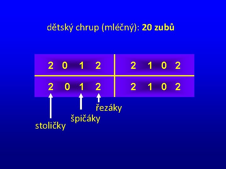 dětský chrup (mléčný): 20 zubů 2 0 2 1 2 2 1 0 2