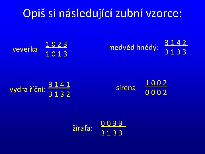 Opiš si následující zubní vzorce: 3 1 4 2 medvěd hnědý: 3 1 3