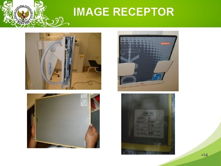 IMAGE RECEPTOR • 14 