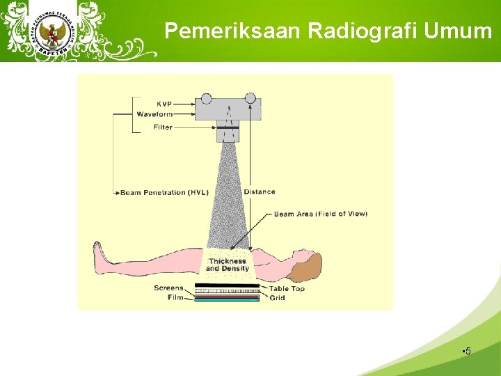 Pemeriksaan Radiografi Umum • 5 