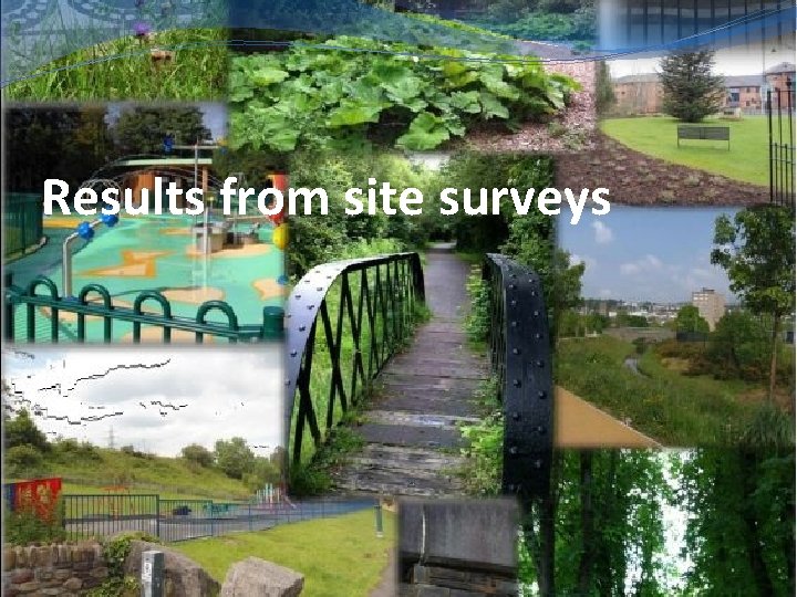 Results from site surveys 