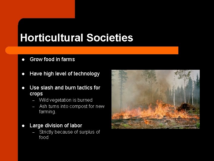 Division of labor in horticultural societies