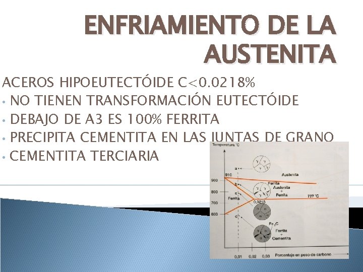 ENFRIAMIENTO DE LA AUSTENITA ACEROS HIPOEUTECTÓIDE C<0. 0218% • NO TIENEN TRANSFORMACIÓN EUTECTÓIDE •