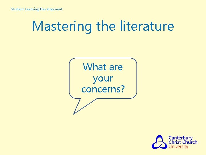 Student Learning Development Mastering the literature What are your concerns? 