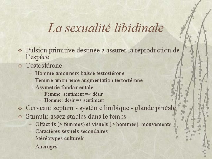 La sexualité libidinale v v Pulsion primitive destinée à assurer la reproduction de l’espèce