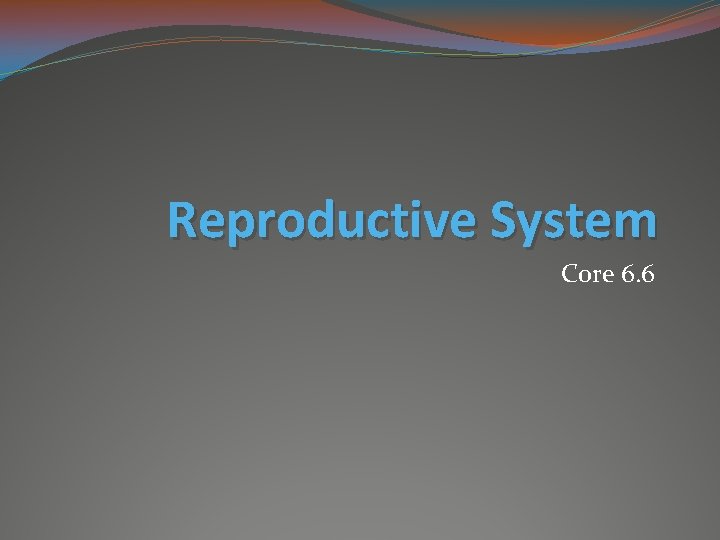 Reproductive System Core 6. 6 