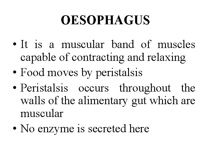 OESOPHAGUS • It is a muscular band of muscles capable of contracting and relaxing
