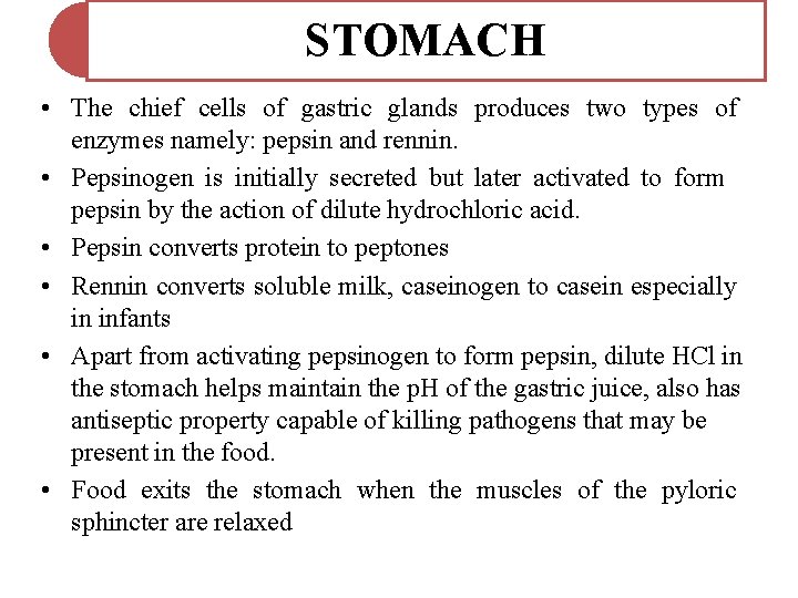STOMACH • The chief cells of gastric glands produces two types of enzymes namely: