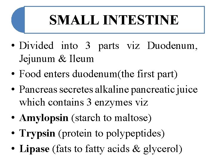 SMALL INTESTINE • Divided into 3 parts viz Duodenum, Jejunum & Ileum • Food