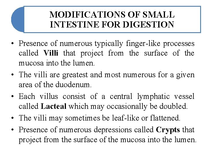 MODIFICATIONS OF SMALL INTESTINE FOR DIGESTION • Presence of numerous typically finger-like processes called
