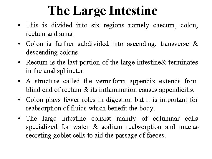 The Large Intestine • This is divided into six regions namely caecum, colon, rectum