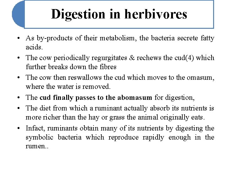 Digestion in herbivores • As by-products of their metabolism, the bacteria secrete fatty acids.