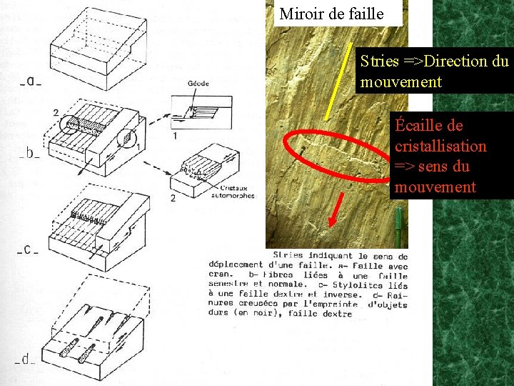 Miroir de faille Stries =>Direction du mouvement Écaille de cristallisation => sens du mouvement