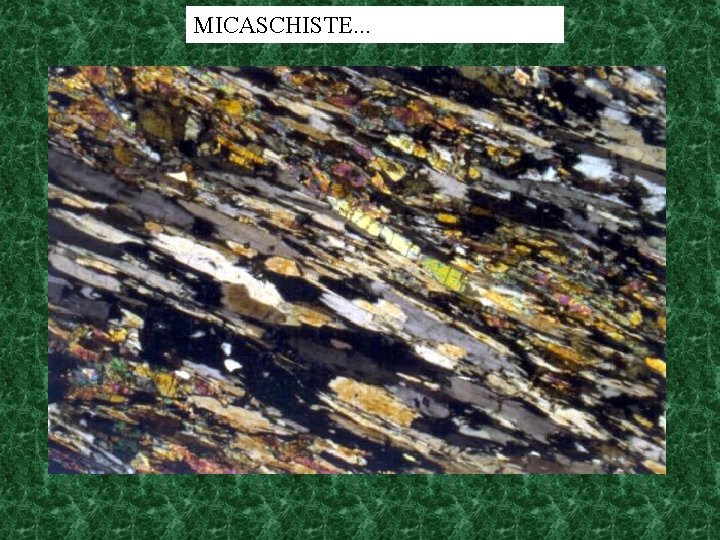 MICASCHISTE. . . 