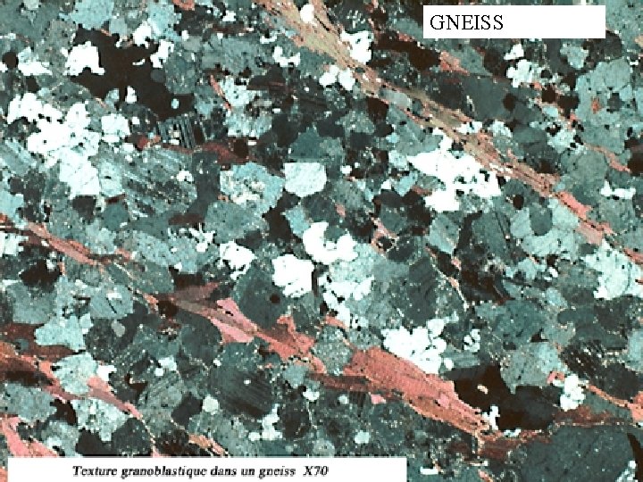 GNEISS 