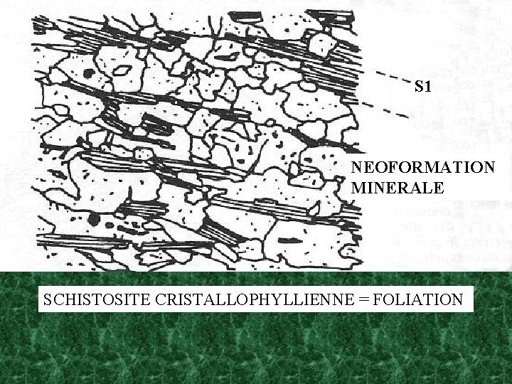 S 1 NEOFORMATION MINERALE SCHISTOSITE CRISTALLOPHYLLIENNE = FOLIATION 