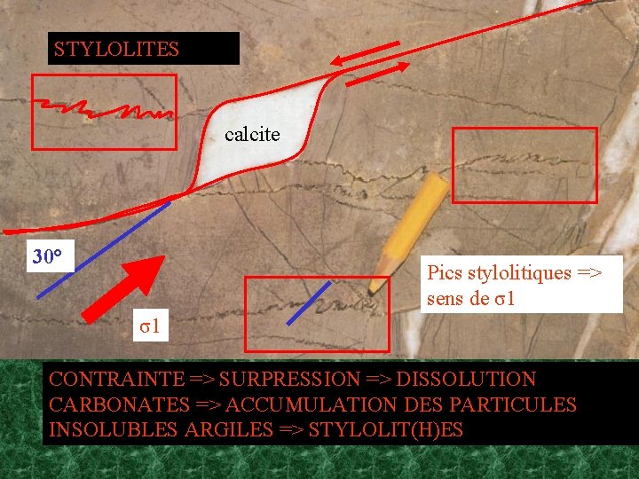STYLOLITES calcite 30° Pics stylolitiques => sens de σ1 σ1 CONTRAINTE => SURPRESSION =>
