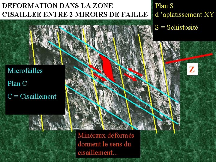 DEFORMATION DANS LA ZONE CISAILLEE ENTRE 2 MIROIRS DE FAILLE Plan S d ’aplatissement