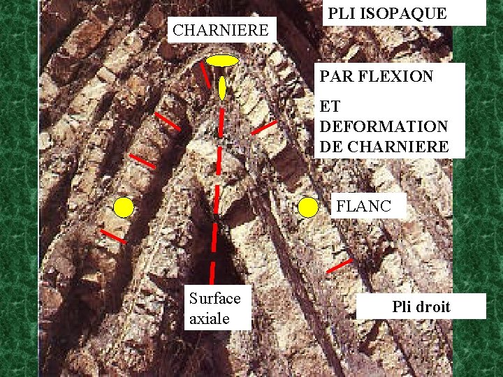 CHARNIERE PLI ISOPAQUE PAR FLEXION ET DEFORMATION DE CHARNIERE FLANC Surface axiale Pli droit