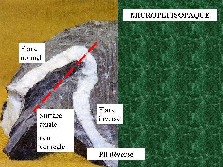 MICROPLI ISOPAQUE Flanc normal Surface axiale non verticale Flanc inverse Pli déversé 