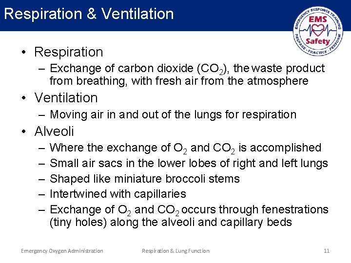 Respiration & Ventilation • Respiration – Exchange of carbon dioxide (CO 2), the waste