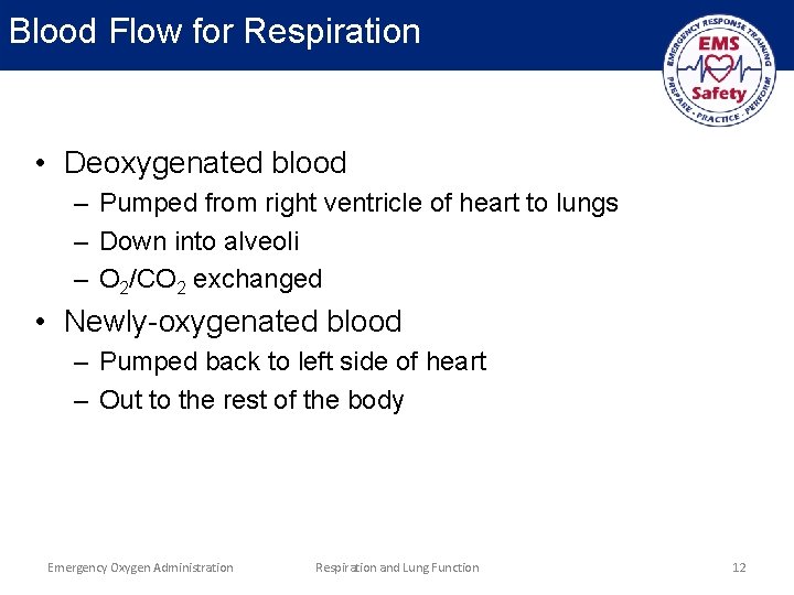 Blood Flow for Respiration • Deoxygenated blood – Pumped from right ventricle of heart