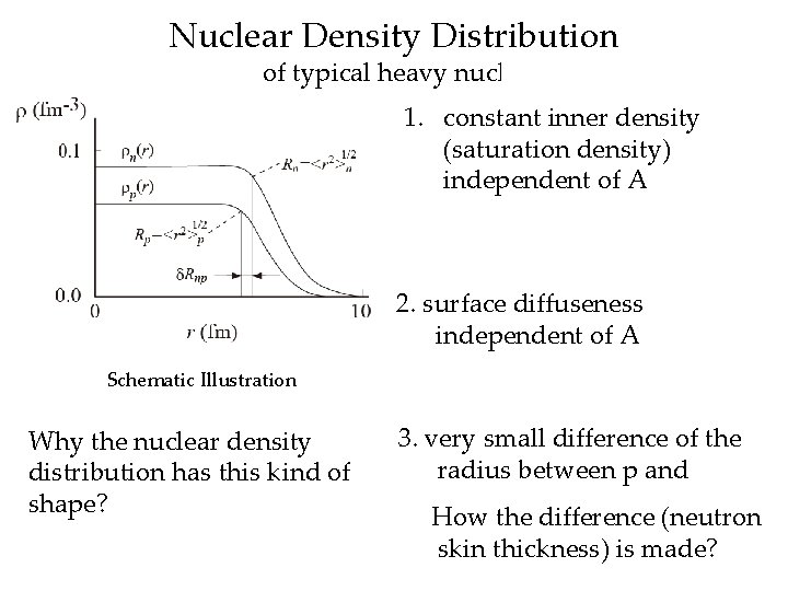 Nuclear Density Distribution of typical heavy nuclei 1. constant inner density (saturation density) independent